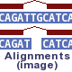Alignments (image) (Not available) Alignments (image) (Not available)