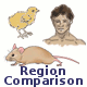 Region Comparison (Not available) Region Comparison (Not available)