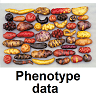 Diseases and traits (Not available)